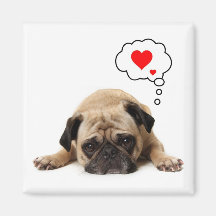 Mops Hearts Magnet