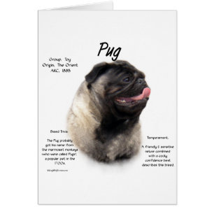 Mops History Design