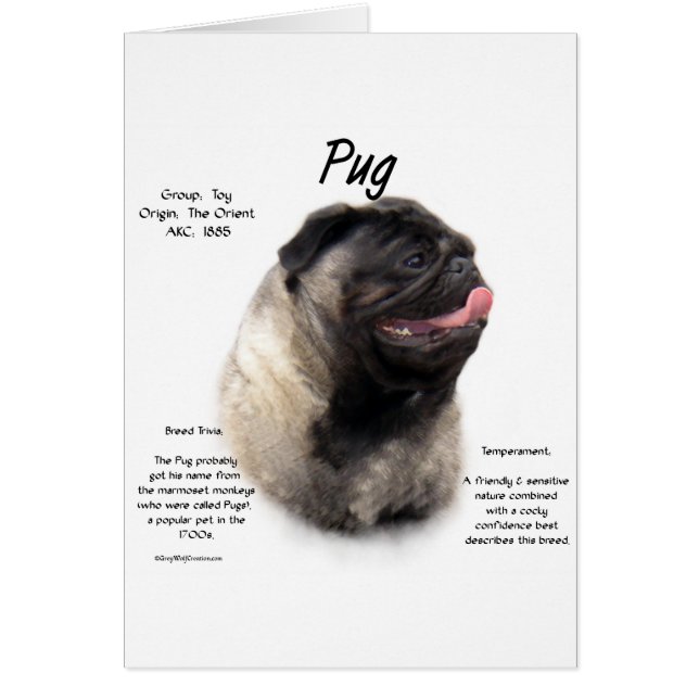 Mops History Design (Vorne)