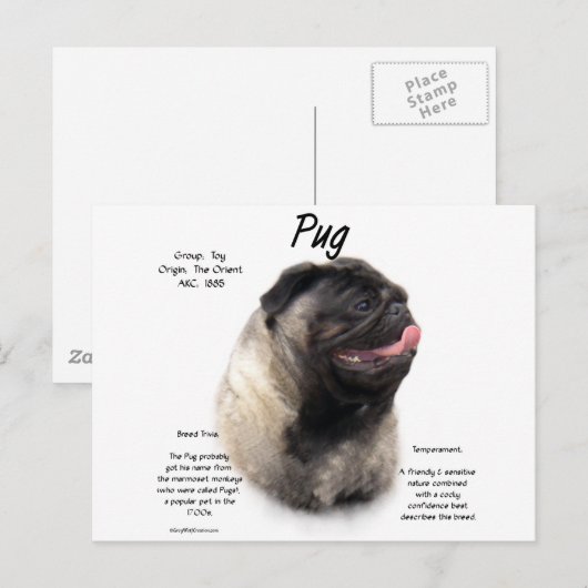 Mops History Design Postkarte (Vorne/Hinten)