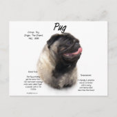 Mops History Design Postkarte (Vorderseite)