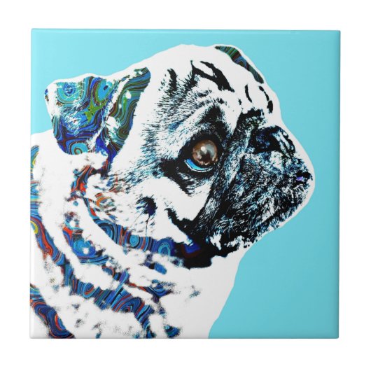 Mops Hund 166 blauer Hintergrund Fliese (Vorderseite)
