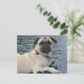 Mops Hund auf dem Wasser Postkarte (Stehend Vorderseite)