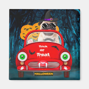 Mops Hund Autofahren Auto Beängstigend Halloween Magnet