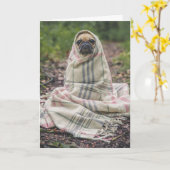 MOPS HUND BIRTHDAY GREETCARD KARTE (Gelbe Blume)