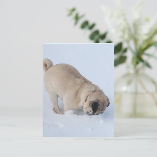 Mops Hund, der den Winterschnee spielt Postkarte (Stehend Vorderseite)