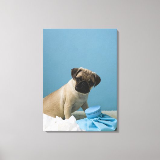 Mops-Hund, der mit einer Heißwasserflasche im Bett Leinwanddruck (Vorderseite)