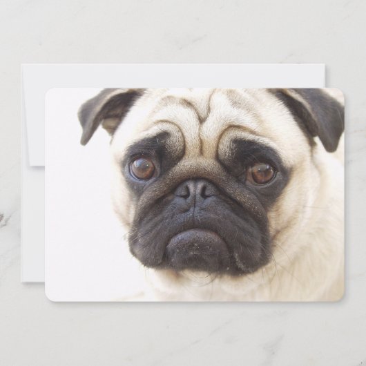 Mops Hund Einladung (Vorderseite)