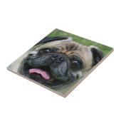 Mops-Hund Fliese (Seite)