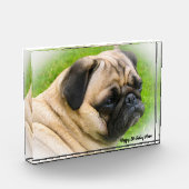 Mops Hund. Fotoblock (Links)