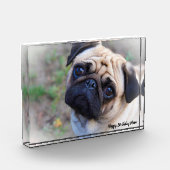 Mops Hund. Fotoblock (Links)