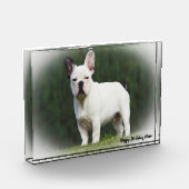 Mops Hund. Fotoblock (Links)