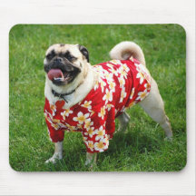 Mops-Hund in einem hawaiischen Shirt