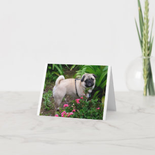 Mops-Hund-Karte mit leerer Grußkarte Karte