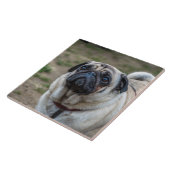 Mops Hund Keramik Fliese (Seite)
