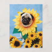 Mops Hund Sonnenblume Postkarte (Vorderseite)
