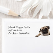 Mops Hund Tier (Insitu)