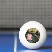 Mops-Hund Tischtennisball (Netto)