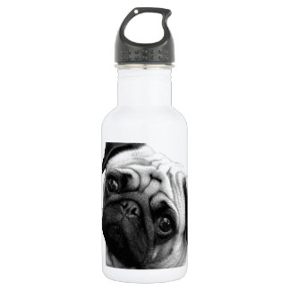Mops-Hund Trinkflasche
