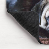 Mops-Hund und schwarze Katze, die zusammen Mousepad (Ecke)