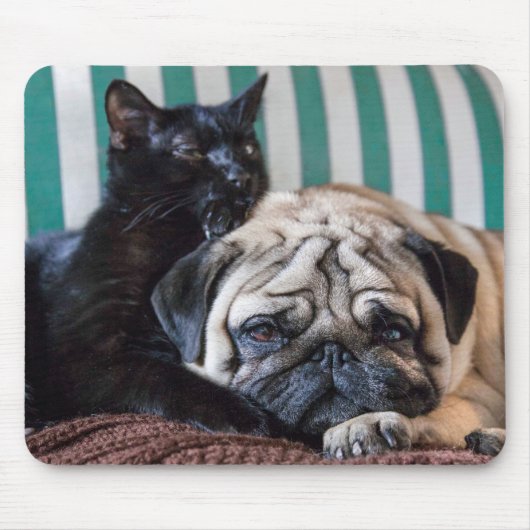 Mops-Hund und schwarze Katze, die zusammen Mousepad (Vorne)