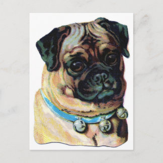 Mops-Hund Vintage Postkarte