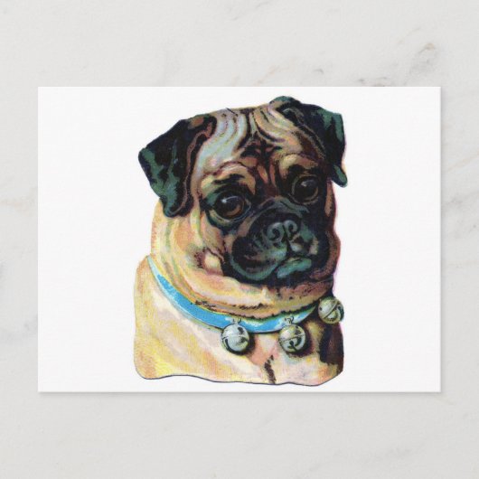 Mops-Hund Vintage Postkarte (Vorderseite)