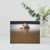 Mops Hund Welpe Grumpy Süße Tier Pet Wrinkly Postkarte (Stehend Vorderseite)