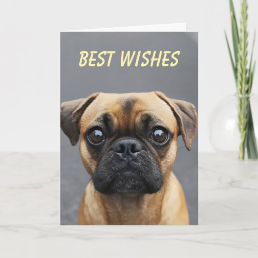 Mops Hunde Feiertagskarte (Vorderseite)