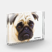 Mops Hunde Fotoblock (Links)