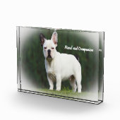 Mops Hunde Fotoblock (Rechts)