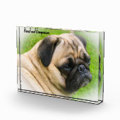 Mops Hunde Fotoblock (Rechts)