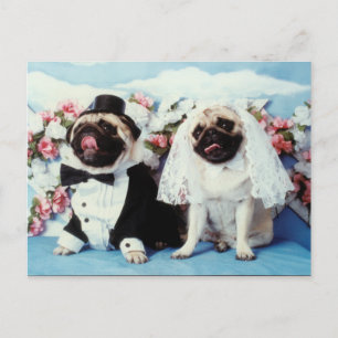 Mops Hunde Hochzeit Postkarte