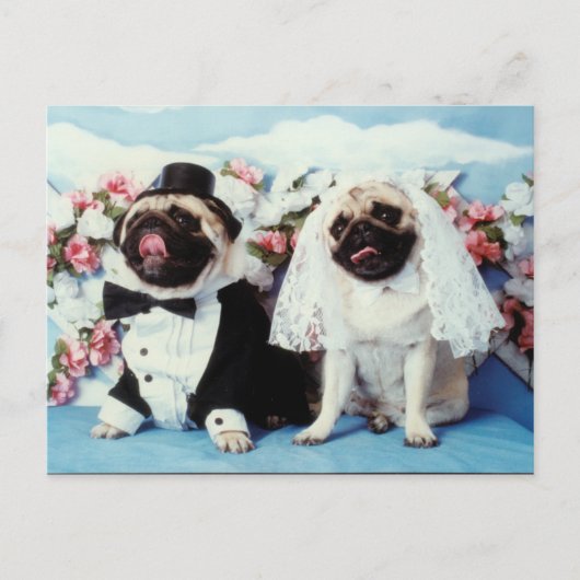 Mops Hunde Hochzeit Postkarte (Vorderseite)