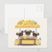 Mops Hunde Lemonade Stand Postkarte (Vorne/Hinten)