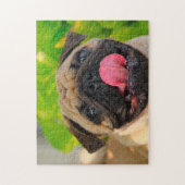 Mops Hunde. Puzzle (Vertikal)