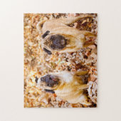 Mops Hunde. Puzzle (Vertikal)