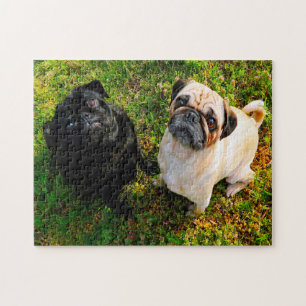 Mops Hunde. Puzzle