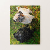 Mops Hunde. Puzzle (Vertikal)