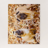 Mops Hunde. Puzzle (Vertikal)