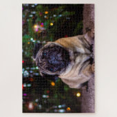 Mops Hunde. Puzzle (Vertikal)