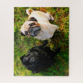 Mops Hunde. Puzzle (Vertikal)