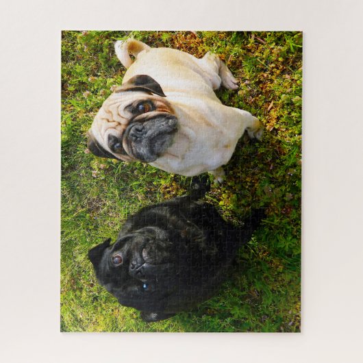 Mops Hunde. Puzzle (Vertikal)