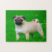 Mops Hunde. Puzzle (Horizontal)
