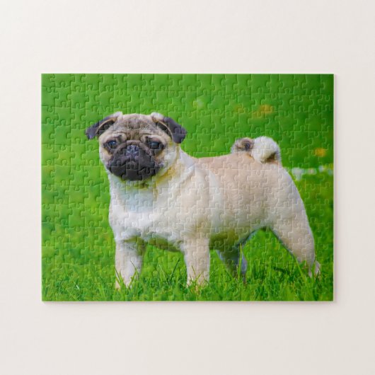Mops Hunde. Puzzle (Horizontal)