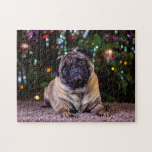 Mops Hunde. Puzzle