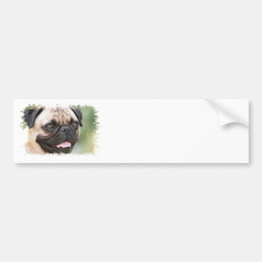 Mops-HundeAutoaufkleber Autoaufkleber (Vorne)