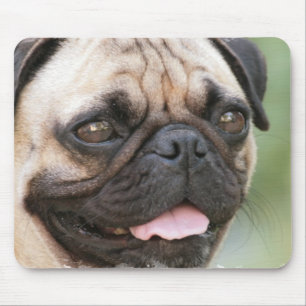 Mops-Hundemausunterlage Mousepad