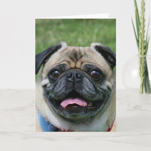 Mops-Hundenotecard Karte (Vorderseite)