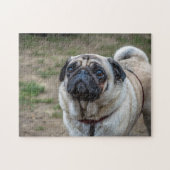 Mops-Hundepuzzle Puzzle (Horizontal)